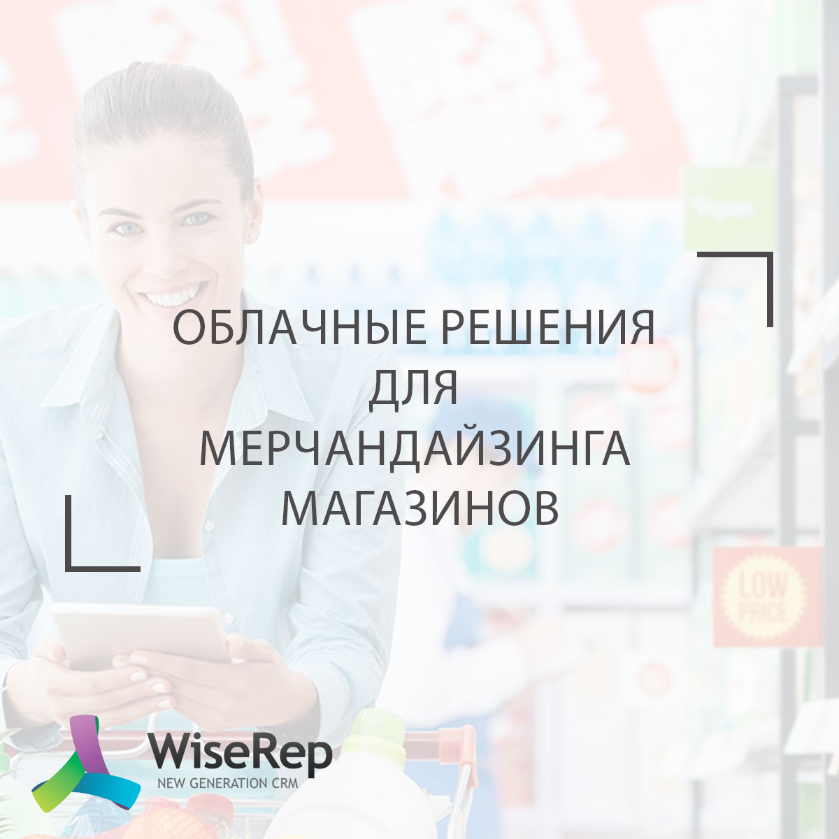 Облачные решения для мерчандайзинга магазинов
